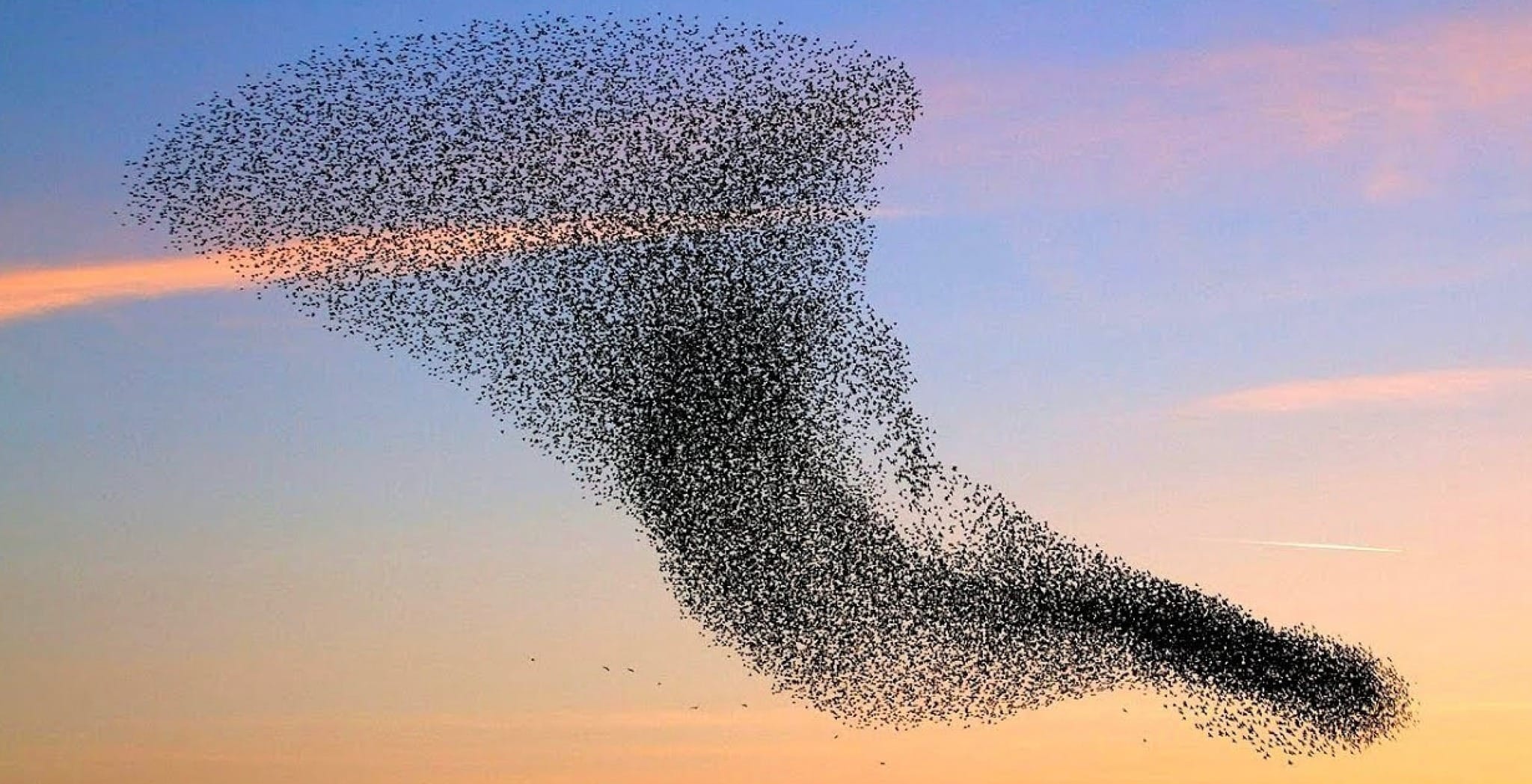 Read more about the article Dinamika raspadanja i uređenja: ogledalo dviju istina i snaga tihe prisutnosti